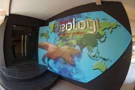 The tanjung balau fishermen museum (malay: Galeri Galeri Geologi Muzium Nelayan Tanjung Balau