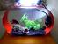 Betta Fish Tank Aquascape