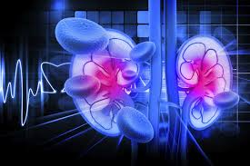 Factors that can influence kidney disease development include genetics, blood sugar control, and blood pressure. Diabetic Nephropathy Kidney Disease