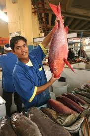 Saudi Arabia Jeddah Fish Market Life In Saudi Arabia Jeddah Fish