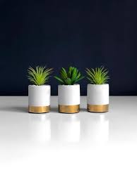 Set Of Three Mini Desk Plants With Metallic Gold Accent Artificial Succulents Air Plants Office In 2020 Desk Plants Mini Plants Artificial Succulents
