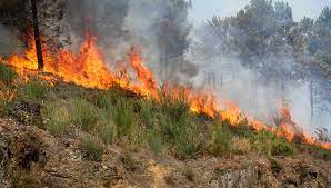 21 junho, 202022 junho, 2020 jorgeeusebio incêndio. Algarve Em Alerta De Prontidao De Nivel Vermelho Devido Ao Aumento Do Risco De Incendio