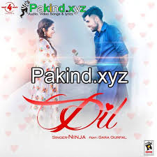 Dil Ninja Valentines Special Full Audio Song Free Download Mp3 Pakind Audio Songs Free Download Audio Songs Valentine Special