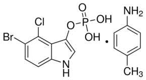 Bcip attaches the utmost importance to the selection and training of new lawyers to be included in the bcip periodically offers internship opportunities for university students and undergraduates who. 5 Bromo 4 Chloro 3 Indolyl Phosphate Bioreagent For Molecular Biology Powder 99 6578 06 9 Sigma Aldrich