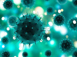 It's where we feel at home. Children With No Corona Symptoms May Shed Virus For Weeks Study