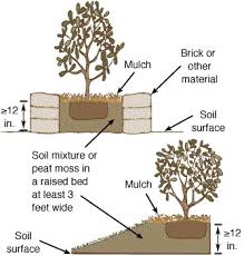 Maybe you would like to learn more about one of these? Improving Lawn And Landscape Soils Mu Extension