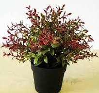 Chine Petite plante en pot artificielle pour le bureau ...