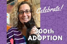 Chicago, officially the city of chicago, is the most populous city in the u.s. 8 Years 300 Adoptions Cat And Kitten Fostering With Volunteer Susan O A R F Animal Rescue Foundation