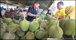 Durian isi merah secara tradisinya ditambah ke dalam sejenis sup ikan air tawar. 7 Jenis Durian Popular Kat Malaysia Yang Wajib Diketahui Hantu Durian