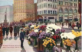 On chestnut street, between pierce and scott streets. San Francisco Flower Market