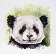 Panda Aquarelle 30x30xcm Art De Panda Art A Theme Chien Panda Dessin