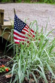 Check spelling or type a new query. Our Cabins Bullfrog Mountain Cabins Llc