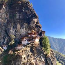 Paro is a robotic baby harp seal designed as a therapeutic tool for use in hospitals and nursing homes. Paro 2021 Best Of Paro Bhutan Tourism Tripadvisor