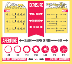 15 Of The Best Cheat Sheets Printables And Infographics For