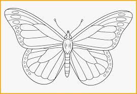 Sketsa kupu kupu adalah salah satu gambar dasar dini yang belum jadi, umumnya ia digoreskan dengan menggunakan media pensil dan sejenisnya. 6969 Sketsa Gambar Hewan Terbaik Paling Unik Menarik Sindunesia