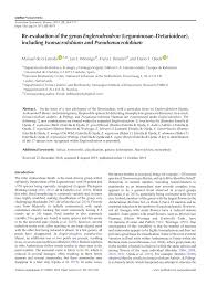 Image result for Englerodendron mengei