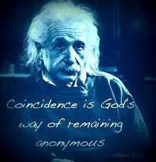 DAMEGA CODE THE CELEBRITY PERSONAL TRAINER