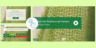 Maybe you would like to learn more about one of these? Plant Cell Structure And Function Game
