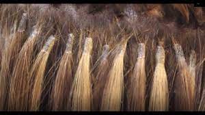 The <bindings> element configures binding information for an iis 7 or later web site. Wie Werden Bonding Extensions Angebracht Verlocke Extensions Hair Tutorial Youtube