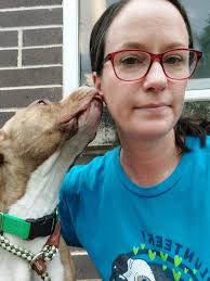 Adopting a gentle and curious dog in Colorado