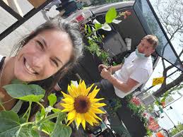 Horticulture Kat Saisons et aménagement paysager