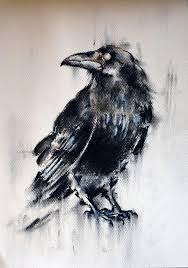 Black And White Ravens Raven And Crow T Shirts Google Search Crows Drawing White Raven Crow