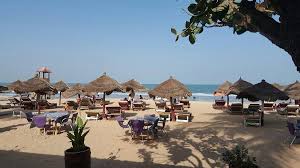 Image result for Selago barabei