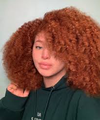 n i k k i 🦧 (@nikkieginger)