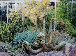 R/gardening is a place for the best guides, pictures, and discussions of all things related to plants and their care. Chicago Botanic Garden Flower Photography Greenhouse Cactuses Desert Chicago Botanic Garden Flowers Photography Amazing Gardens