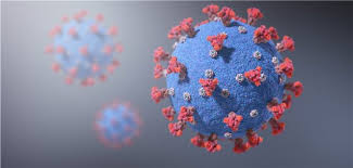 2019 novel coronavirus, wuhan seafood market pneumonia virus) — оболочечный одноцепочный. Wie Gefahrlich Sind Mutierte Sars Cov 2 Viren