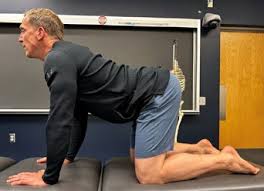 Image result for Low Back Standing Exam