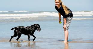 Fan acc niet de echte amalia !!!!! Prinses Amalia Van Oranje Koningskinderen Destentor Nl