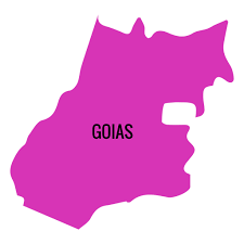 ʁeʒiˈɐ̃w̃ ˌsẽtɾoˈɛstʃi du bɾaˈziw) is composed of the states of goiás, mato grosso and mato grosso do sul; Goias State Map Transparent Png Svg Vector