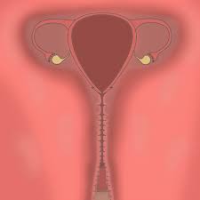 子宮断面図〜人×人、異種妊娠、受精、フィスト〜色々まとめ - RJ01420445 - Free Download | Free Download |  HentaiCovid.com | Hentai OVAs - Hentai Games - Hentai CGs - Hentai Mangas -  Hentai Voices