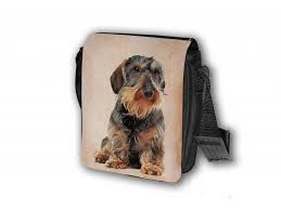 Image result for jezevčík drsnosrstý