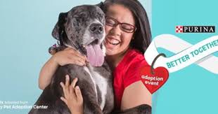 Stlpr relies on the generosity of others to volunteer their time to help pets in need. Dog Adoption Events St Louis