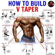 The golden ratio is the ideal of beauty. Hale Hearty Tap V If You Are Aiming For A V Taper Physique The V Taper Is Well Known For Being One Of The Most Aesthetic Physique In The