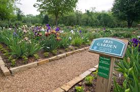 We did not find results for: The Outdoor Lover S Guide To Springfield Mo Springfield Missouri