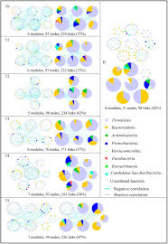Leukemia awareness is represented by the color orange. Using Molecular Ecological Network Analysis To Explore The Effects Of Chemotherapy On Intestinal Microbial Communities Of Colorectal Cancer Patients Biorxiv