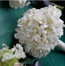 Gardenia Flower Gardenia Gardenia Bouquet Red Gardenia Online Wedding Flowers Bulk Flowers Online Wholesale Flowers