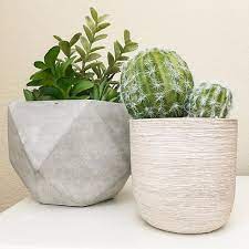 Ig Living Los Angeles Home Decor Target Home Decor Faux Plants Succulents Cactus Rustic Decor Modern Deco Target Home Decor Diy Home Decor Rustic Decor