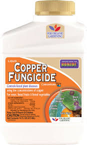 Copper Fungicide Conc Bonide