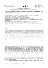 Image result for Atractus arangoi