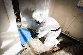 Unfortunately, it can also be found in a myriad of other household materials including: Industrial Asbestos Services Amc Asbestos Management