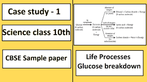 There are multiple ways of making the process of completing the assignment easier a case study is the paper that shows students' analyzing abilities as well as skills to link the cause and the result. Case Study 1 Qn 17 Cbse Science Sample Paper 2020 21 Class 10th Youtube
