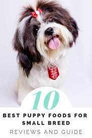 When You Adopt A Puppy There Are Many Things You Need To Keep In Mind With Our Best Small Breed Puppy Food Review We Best Puppy Food Best Puppies Puppy Food
