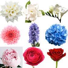 We did not find results for: Flowers Their Meanings And Seasons Frog Prince