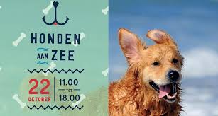 Honden aan zee is een onderdeel van strandverblijf, een contentplatform over de belgische kust.op honden aan zee kan je info, leuke weetjes en tips terug vinden om o.a. Honden Aan Zee Zoetermeer