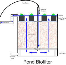 My Pond Biofilter Homestead Forum At Permies Aquaponics Pond Small Water Features