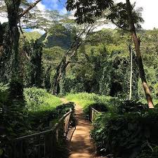 Lyon Arboretum University Of Hawai I At Manoa University Of Hawaii At Manoa University Of Hawaii Manoa